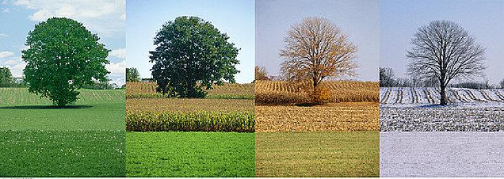 《全面战争：战锤3》变化灵玩法展示 8月31日上线